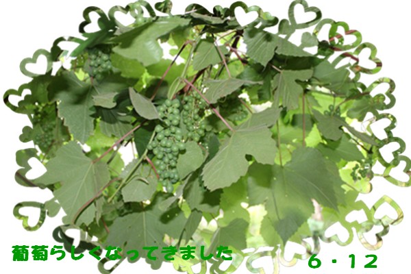 f0003174_10531362.jpg