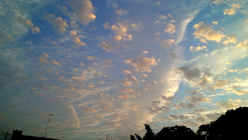 e0249878_23354997.jpg