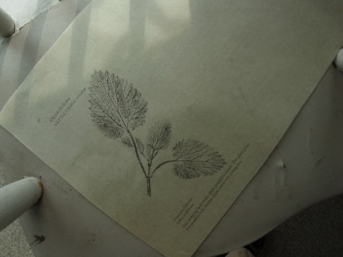 c0105780_212556100.jpg