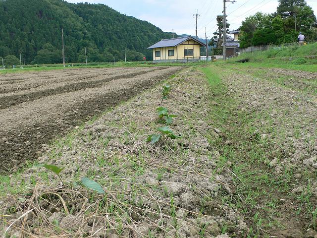 b0042882_21511223.jpg