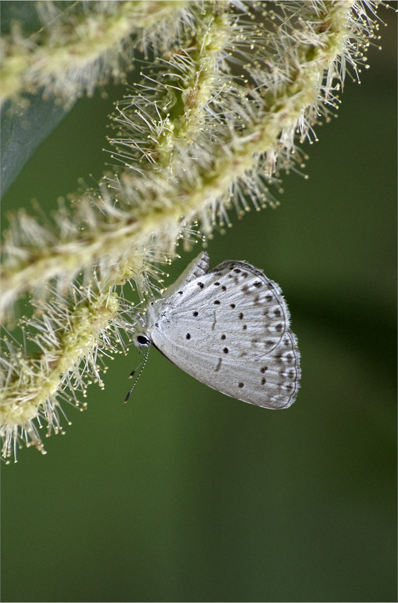 d0209988_20264664.jpg
