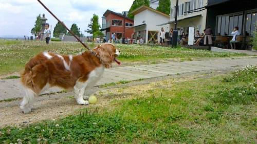 a0079292_1331415.jpg
