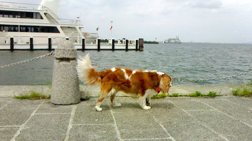 a0079292_13364379.jpg