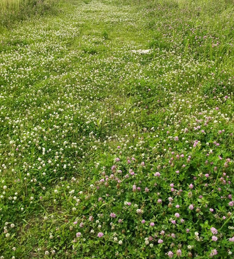 d0163696_19453421.jpg