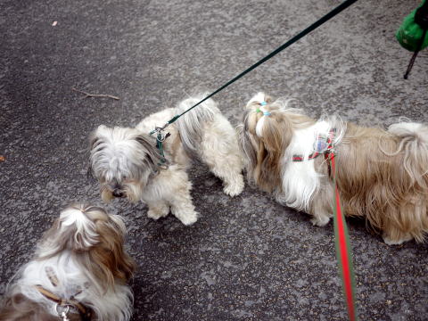 c0090198_1534421.jpg