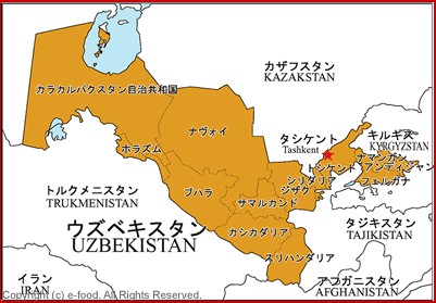 e0238098_1137344.jpg