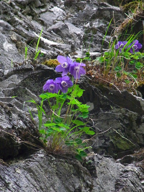 f0157901_201873.jpg