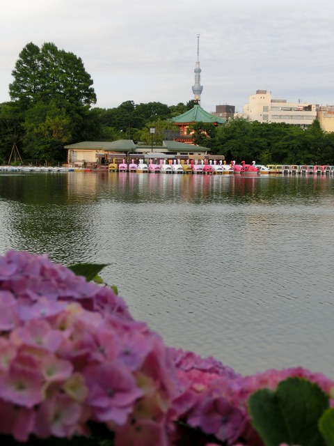 b0190603_12523595.jpg