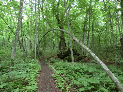 e0242504_211831.jpg