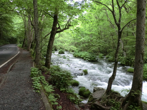 e0242504_21231489.jpg