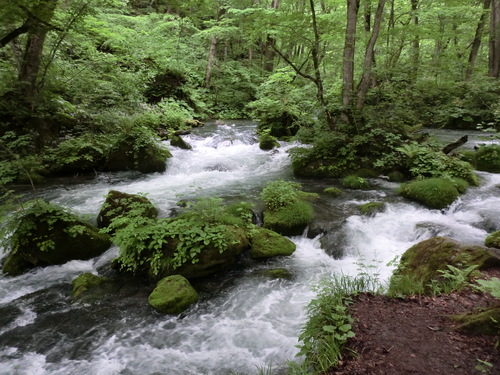 e0242504_21292176.jpg