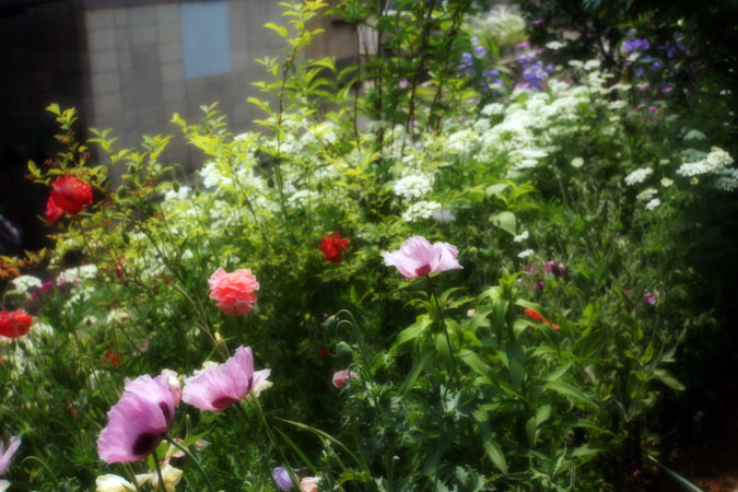 a0263109_10132370.jpg