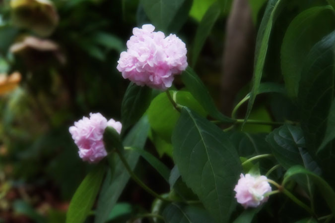 a0263109_10155170.jpg