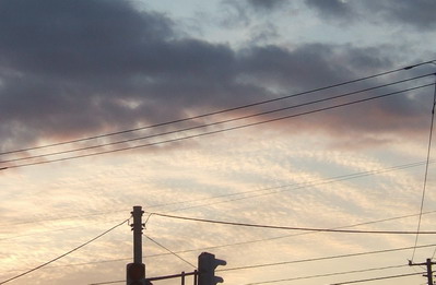 b0075609_061634.jpg
