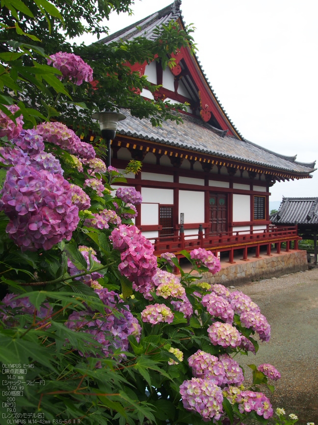 f0221510_8131089.jpg