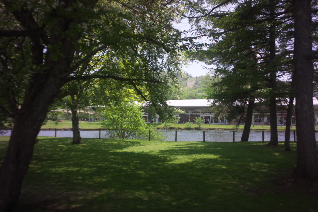 d0143011_2261739.jpg