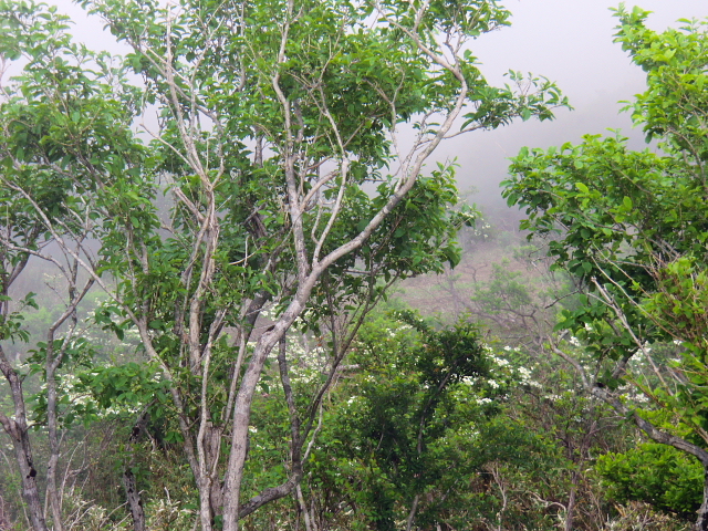 d0170615_222398.jpg