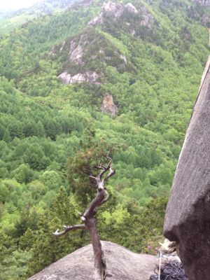 c0210618_1118204.jpg