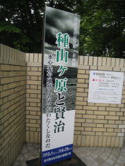 f0135222_053021.jpg