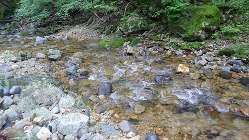 d0227723_22182193.jpg