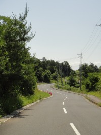 c0189724_1421812.jpg