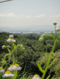 c0189724_14221461.jpg