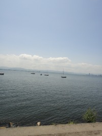 c0189724_14225735.jpg