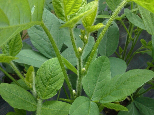 c0246826_10155998.jpg