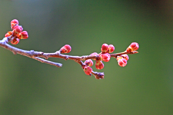 c0104227_16454188.jpg