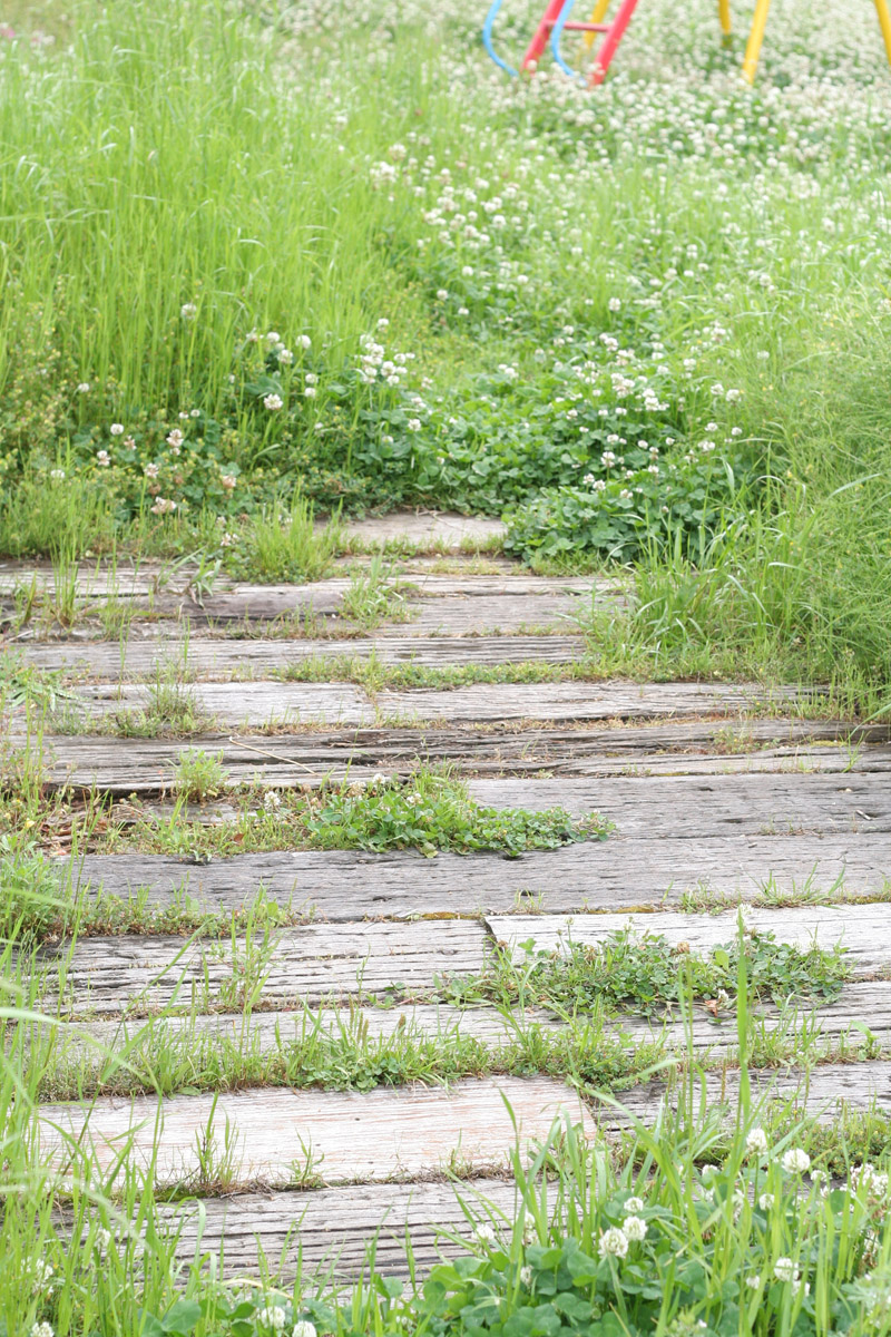 c0073633_2018253.jpg