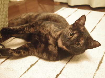 c0118536_17294099.jpg