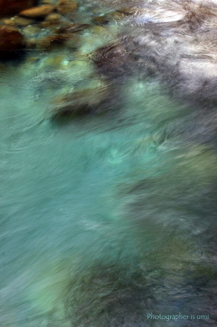 e0083238_0312026.jpg