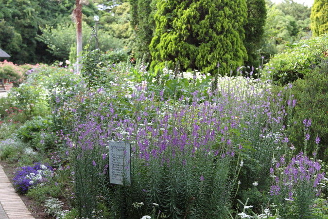 a0258549_07166.jpg