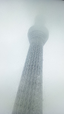 a0251851_192435.jpg