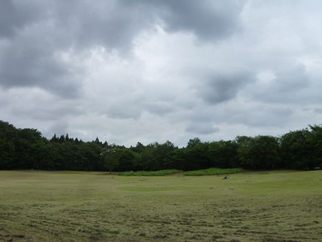 b0220251_744137.jpg