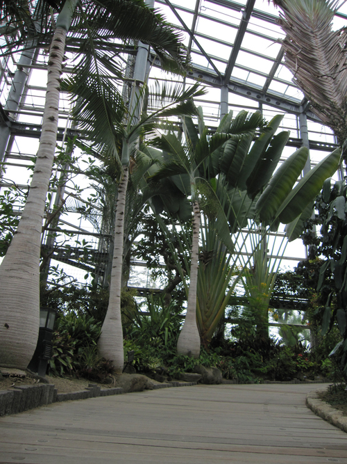 d0055956_224715.jpg