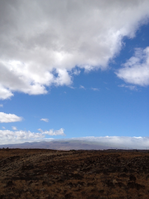 e0033156_12215662.jpg