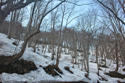 a0248459_19493910.jpg