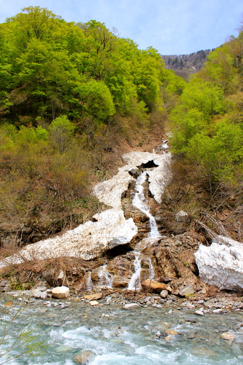 a0248459_1952316.jpg