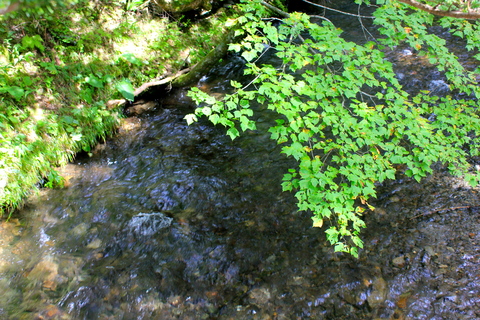 a0248459_19531570.jpg
