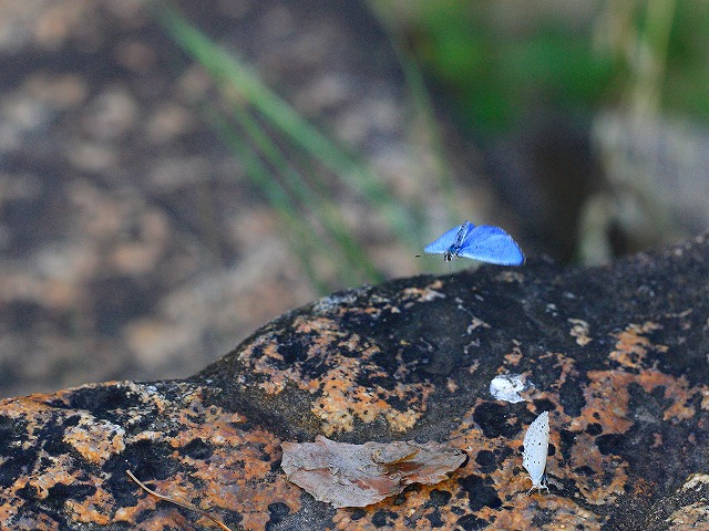 d0128465_124029.jpg