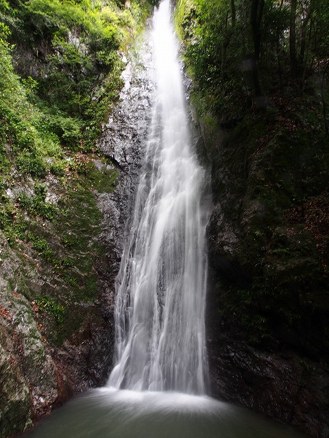 d0128465_14554690.jpg