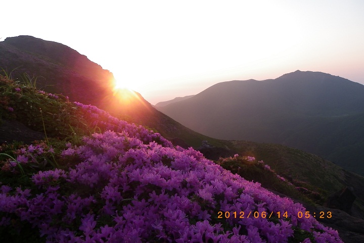 f0016066_16425199.jpg