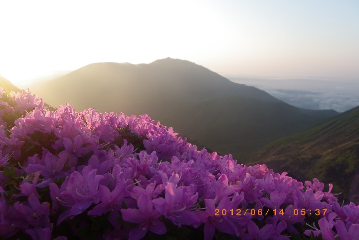 f0016066_16493685.jpg