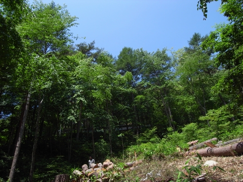 c0166668_21553038.jpg