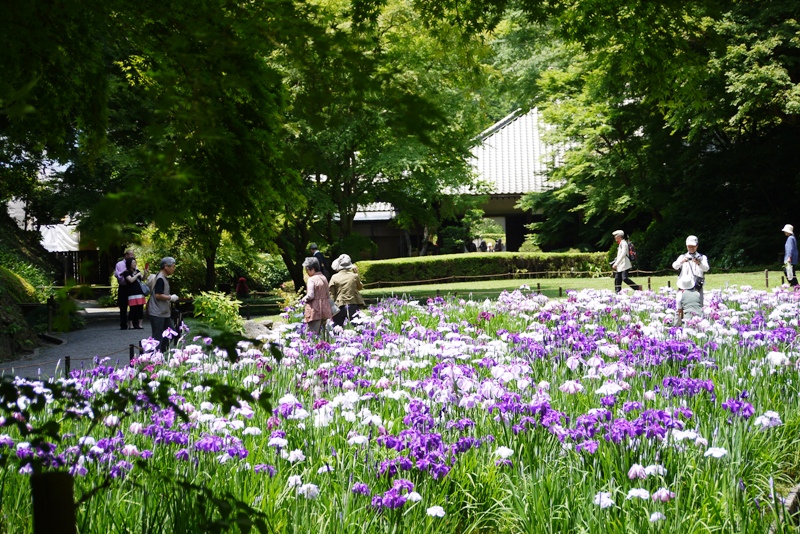 a0127090_21311446.jpg