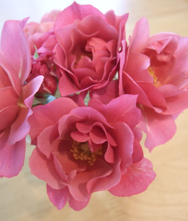 c0139591_410277.jpg