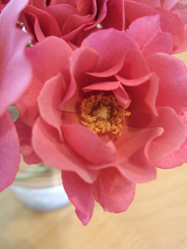 c0139591_411392.jpg
