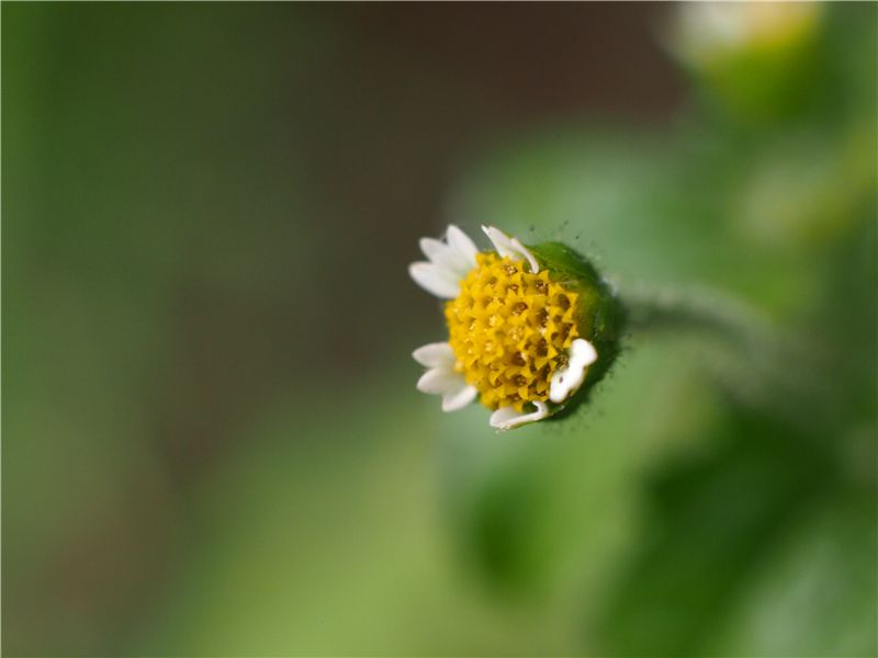f0224100_2195868.jpg