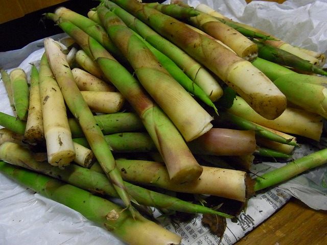 f0157901_1805761.jpg